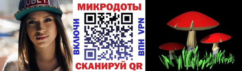 Псилоцибиновые грибы мицелий  Сочи 